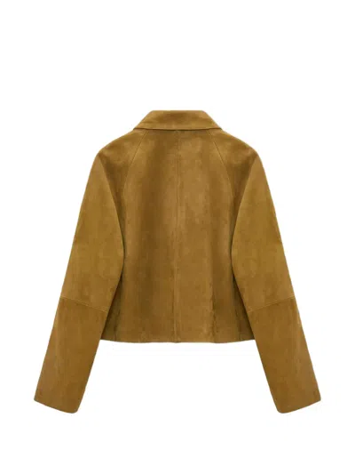 Dorothee Schumacher Buttoned Patch-pocket Jacket In Brown