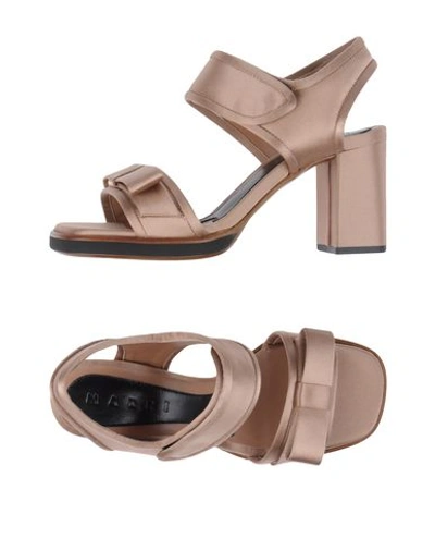 Marni Sandals In Light Brown