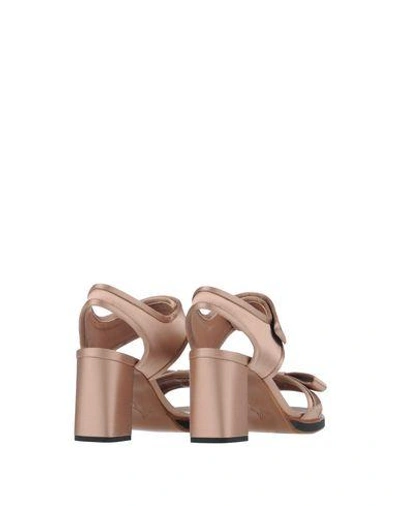 Shop Marni Sandals In Light Brown
