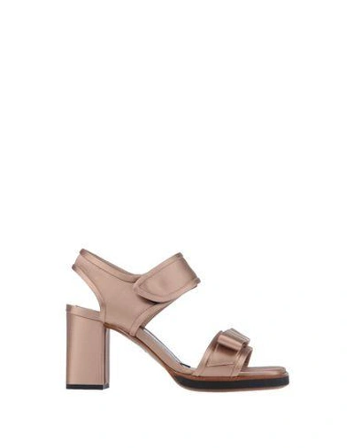 Shop Marni Sandals In Light Brown