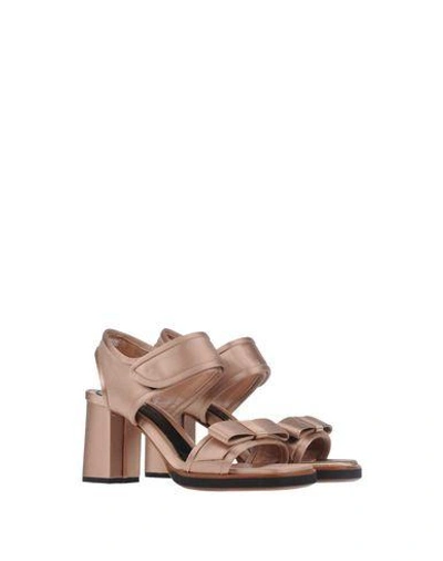 Shop Marni Sandals In Light Brown