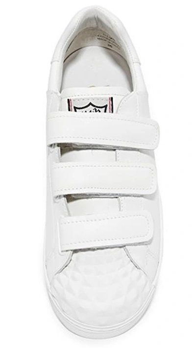 Shop Ash Club Velcro Sneakers In White