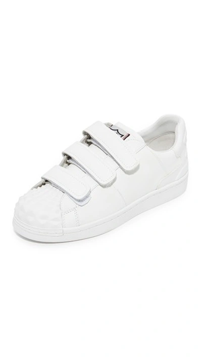 Ash 'club' Rubber Prism Leather Sneakers In White