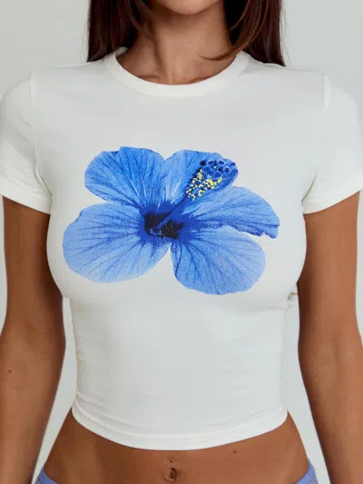 Outcast Ginger Top White In White