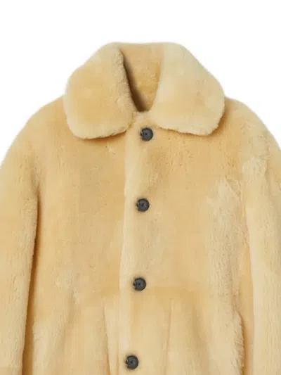 搭扣皮毛一体夹克