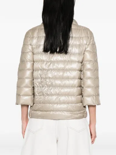 Herno Quilted Jacket In Neutral