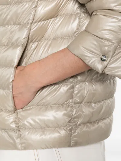 Herno Quilted Jacket In Neutral