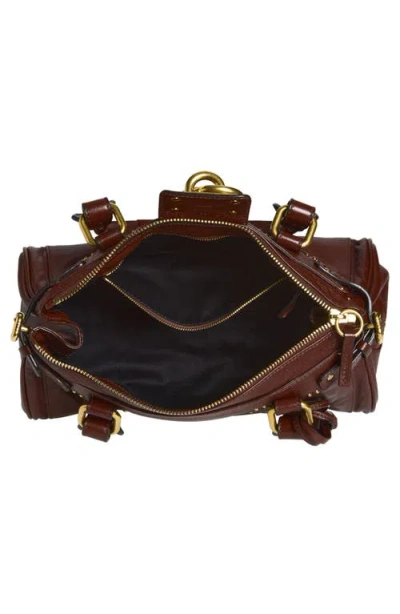 Chloé Paddington Brown Shoulder Bag With Oversized Padlock And C-shaped Buckles In Grainy Leather Woman In Brown