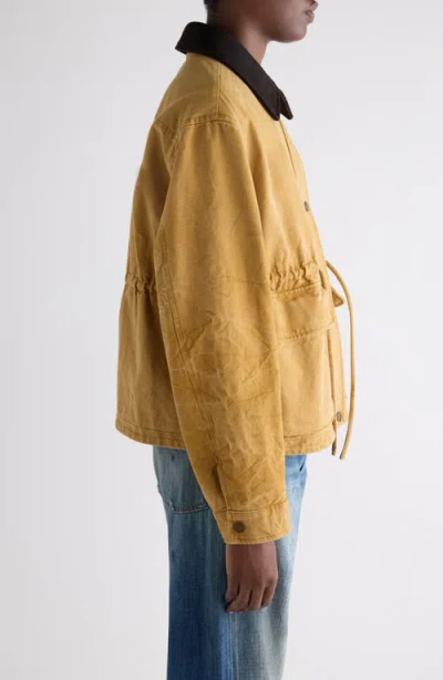 Acne Studios Canvas Work Jacket With Leather Collar In Gold