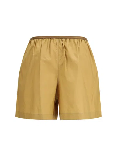 Lemaire Buttoned Elasticated Shorts In Gold