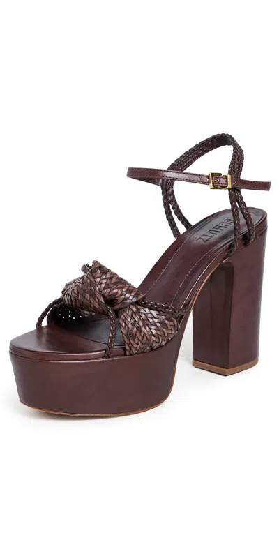 Schutz Kalina Ankle Strap Platform Sandal In Brown