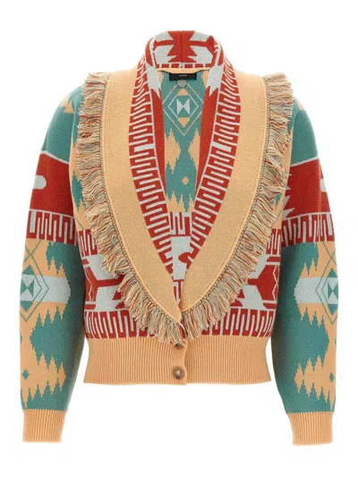 Alanui Thistles Knitwear Shawl Collar Fringe In Multi
