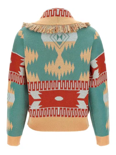 Alanui Thistles Knitwear Shawl Collar Fringe In Multi