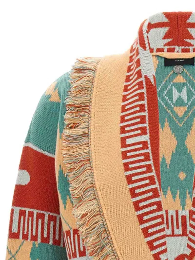 Alanui Thistles Knitwear Shawl Collar Fringe In Multi