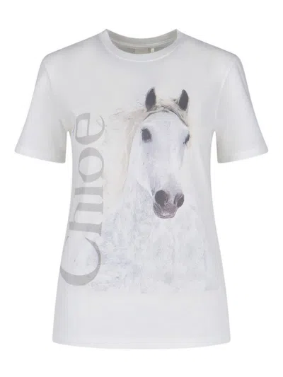 Chloé Cotton Crew Neck Graphic Short Sleeve T-shirt In White
