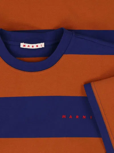 Marni Crew Neck Striped Short Sleeve T Shirt In Multi
