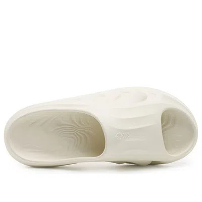 Rigorer Mini Shark 'white'