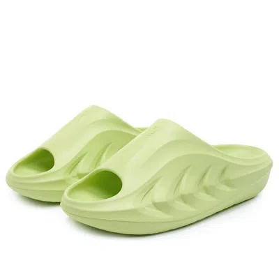 Rigorer Mini Shark 'green'