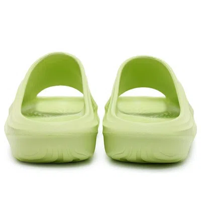 Rigorer Mini Shark 'green'