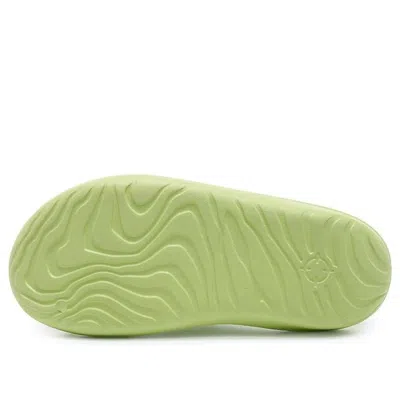 Rigorer Mini Shark 'green'