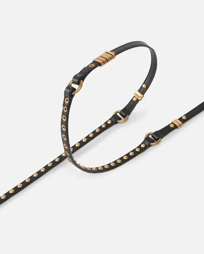 Pinko Eyelet Stud Leather Belt In Brown