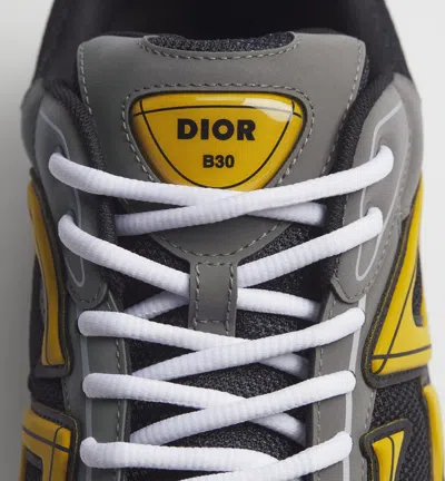 Dior B30 Countdown Sneaker In Gray