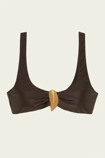 Simkhai Womens Chocolate Veyra Shell Stretch Bikini Top In Multi