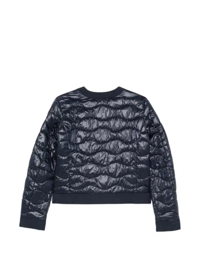 Blauer Hadley Quilted Jacket In Blue