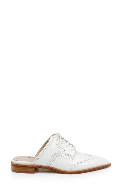 L'agence Lilou Mule