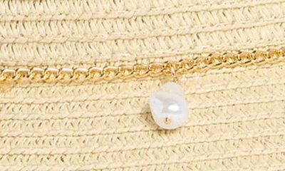 Bcbg Downbrim Charm Straw Hat In Pattern