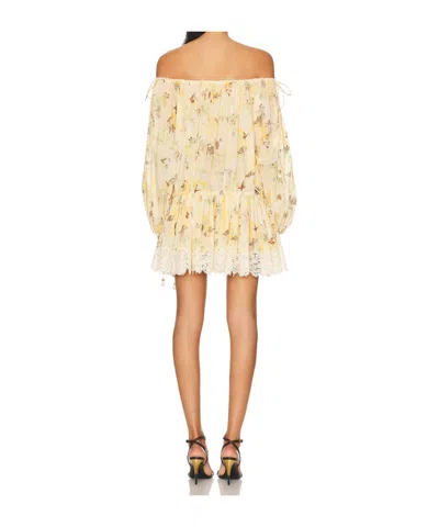 Zimmermann Cascadian Off-the-shoulder Lace-trimmed Printed Cotton-voile Mini Dress In Yellow
