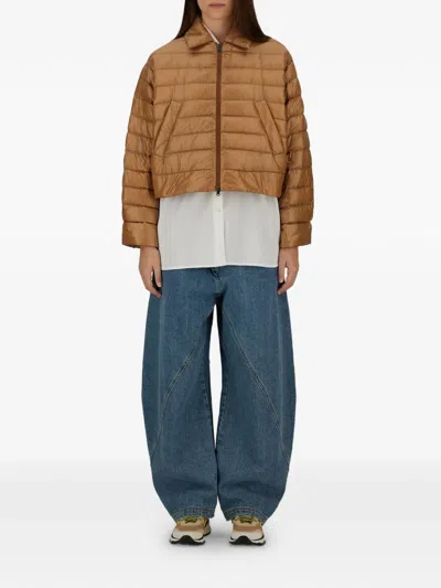 Herno Collared Quilted Jacket In Brown