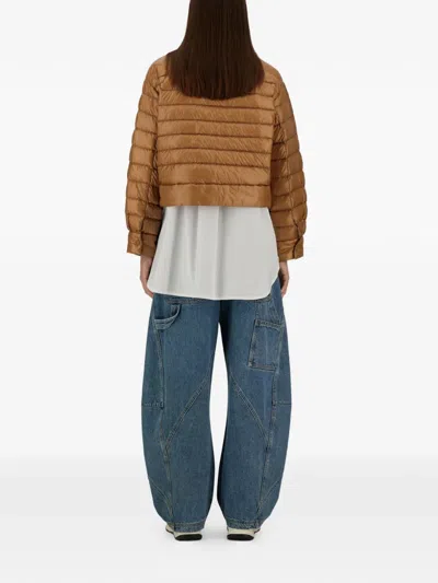 Herno Collared Quilted Jacket In Brown