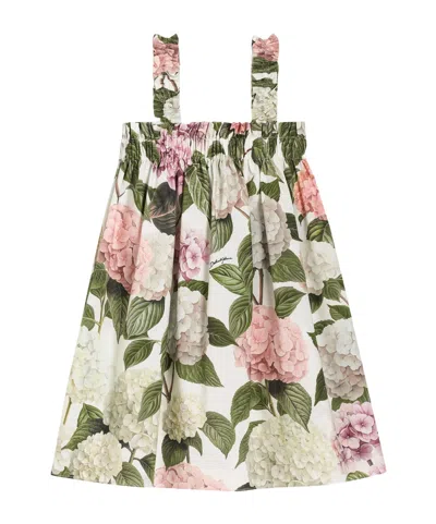 Dolce & Gabbana Hydrangea-print Poplin Dress In Multi