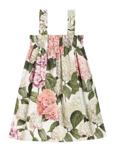 Dolce & Gabbana Hydrangea-print Poplin Dress In Multi