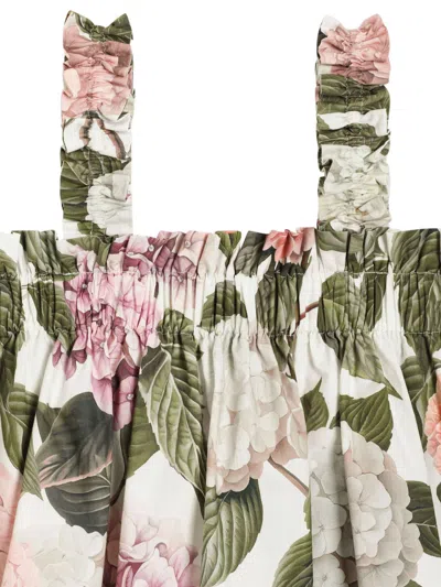 Dolce & Gabbana Hydrangea-print Poplin Dress In Multi