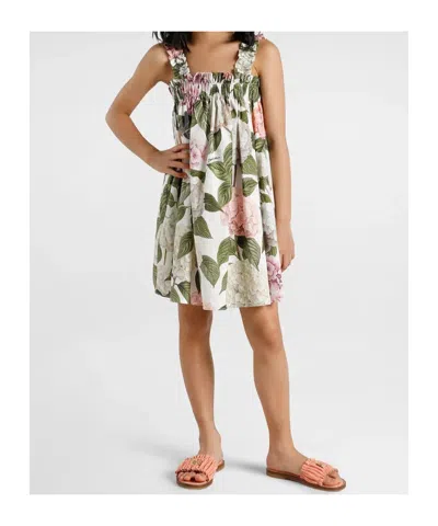 Dolce & Gabbana Hydrangea-print Poplin Dress In Multi
