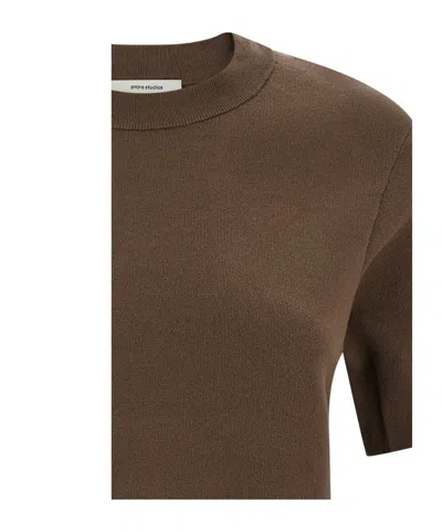 Entire Studios Mercerized Crew Neck T-shirt In Brown
