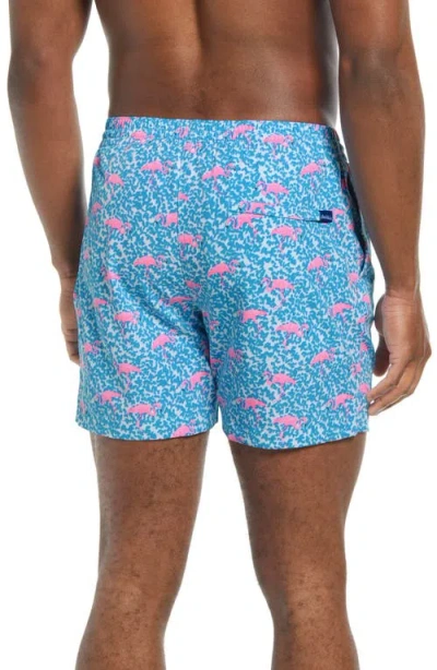 Chubbies Classic Lined 5.5-inch Swim Trunks In Multi