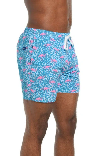 Chubbies Classic Lined 5.5-inch Swim Trunks In Multi