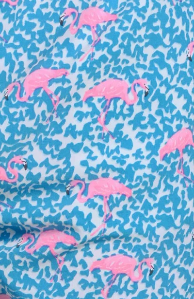 Chubbies Classic Lined 5.5-inch Swim Trunks In Multi