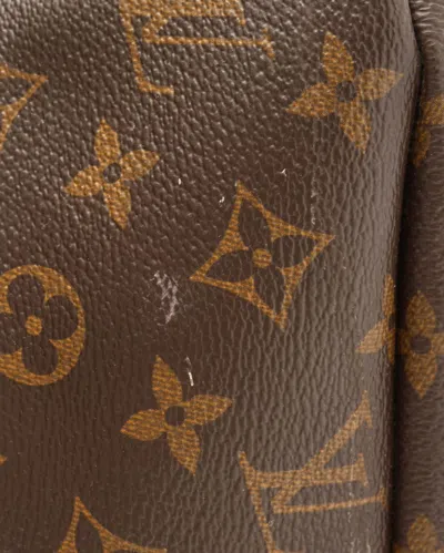 Pre-owned Louis Vuitton Palm Springs Pm Backpack In Multi