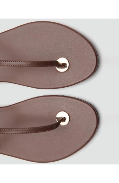 Mango Ankle Strap Sandal In Brown