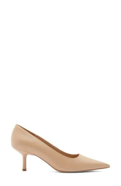 Nordstrom Libby Pointed Toe Pump In Multi
