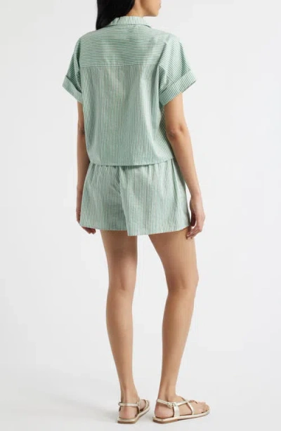 Bernardo Stripe Popover Top In Multi