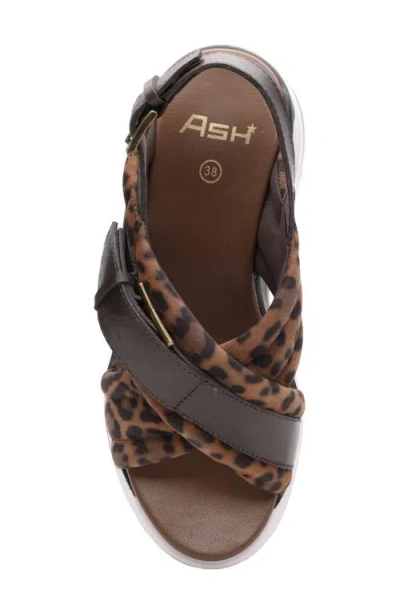 Ash Dixie Bis Leopard Slingback Slide Sandal In Multi