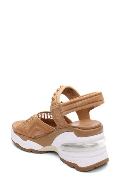 Ash Diva Slingback Platform Sandal In Multi