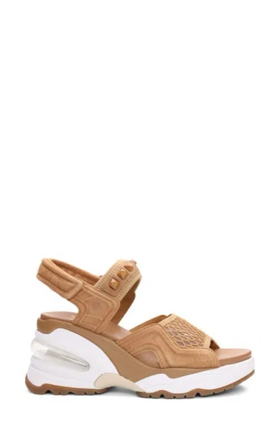 Ash Diva Slingback Platform Sandal In Multi