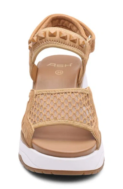 Ash Diva Slingback Platform Sandal In Multi