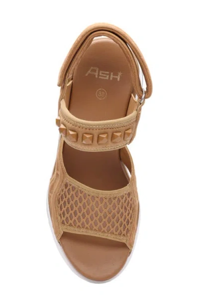 Ash Diva Slingback Platform Sandal In Multi